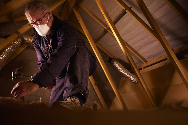 Best Insulation Installation Services in Battle Mountain, NV
